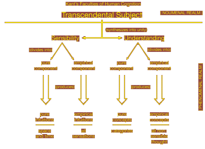 Kant's Faculties of Human Cognition